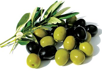 سوودەکانی خواردنی زەیتوون