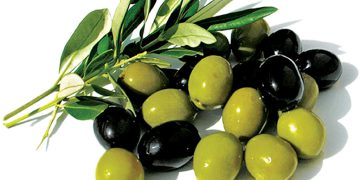 سوودەکانی خواردنی زەیتوون