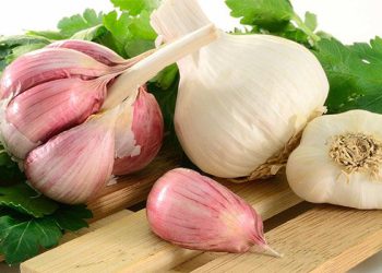 کاریگەرییەکانی خواردنی ڕۆژانەی سیر