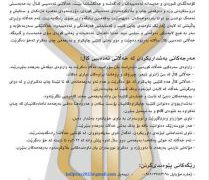 خەڵاتی ئەدەبیی کاڵ یەکەمین بانگەوازی خۆی ڕاگەیاند