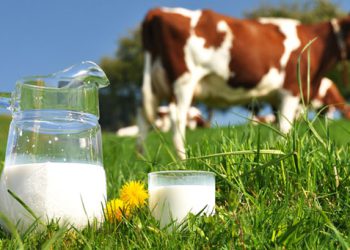 سوودەکانی شیر؛ لە باشترکردنی خەوەوە بۆ خۆپاراستن لە نەخۆشی شەکرە