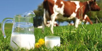 سوودەکانی شیر؛ لە باشترکردنی خەوەوە بۆ خۆپاراستن لە نەخۆشی شەکرە