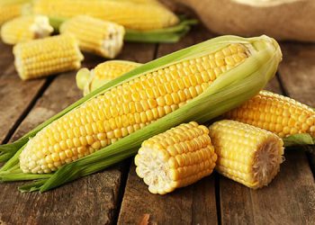 چی لە سەر سوود و زیانەکانی خواردنی گەنمەشامی دەزانین؟