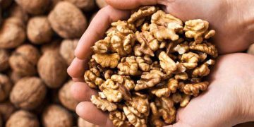 سوودە تەندرووستییەکانی خواردنی گوێز لە ژەمی بەیانیدا