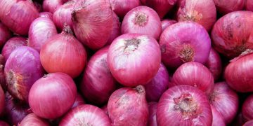 پیازی سوور لە ڕووی تەندرووستییەوە سوودێکی زیاتری هەیە