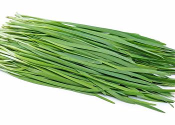 کەوەر لە ڕووی زانستی پزیشکییەوە چ سوودێکی هەیە؟