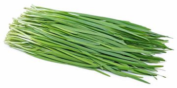 کەوەر لە ڕووی زانستی پزیشکییەوە چ سوودێکی هەیە؟