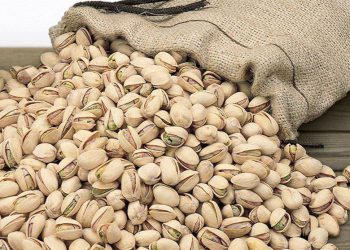 هەناردەی 92 ملیۆن یۆرۆیی فستەقی ئێران بۆ ئەورووپا لە ساڵی 2023دا