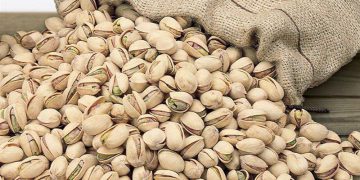 هەناردەی 92 ملیۆن یۆرۆیی فستەقی ئێران بۆ ئەورووپا لە ساڵی 2023دا