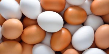 هێلکە لە چ کاتێکدا زیانی بۆ تەندرووستی مرۆڤ هەیە؟