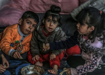 لێبوردنی نێودەوڵەتی: ناردنی دەریایی هاوکارییەکان بۆ غەززە پیشاندەری لاوازبوونی کۆمەڵگای جیهانییە