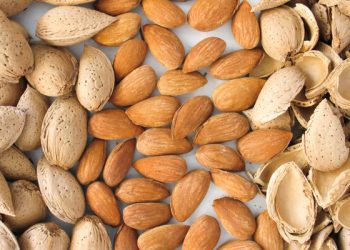 سوود و گرنگی بادام لە ڕووی زانستییەوە بۆ جەستەی مرۆڤ