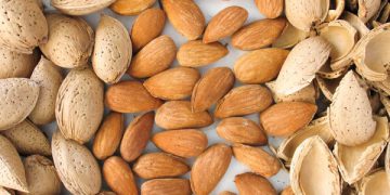 سوود و گرنگی بادام لە ڕووی زانستییەوە بۆ جەستەی مرۆڤ