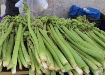 ئایا خواردنی ڕێواس لە ڕووی تەندرووستییەوە سوودی هەیە؟