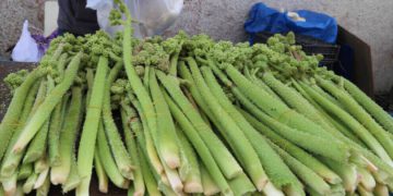 ئایا خواردنی ڕێواس لە ڕووی تەندرووستییەوە سوودی هەیە؟