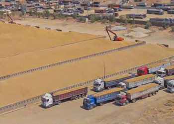 بەرهەمی گەنمی عێراق گەیشتە 8 ملیۆن تەن