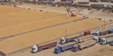 بەرهەمی گەنمی عێراق گەیشتە 8 ملیۆن تەن