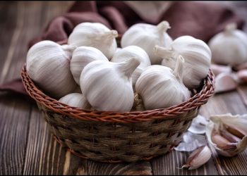 سیری ئێران بەرەو کام وڵاتان هەناردە دەکرێت؟