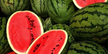 وەرزی خواردنی شوتییە و تایبەتمەندییەکانی بزانە