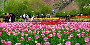 ئێرە مەحەلاتە، هۆڵەندای ئێران