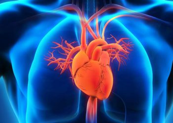 چۆن لە نەخۆشییەکانی دڵ تێبگەین؟