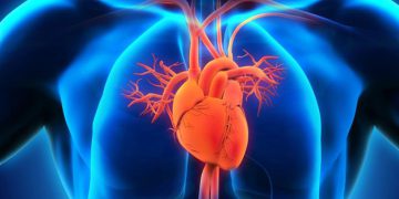 چۆن لە نەخۆشییەکانی دڵ تێبگەین؟