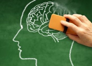 بۆچی یادەوەریمان کەم دەبێتەوە؟