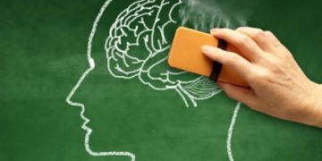 بۆچی یادەوەریمان کەم دەبێتەوە؟