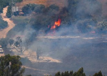 فۆرن پۆلیسی: ئیسرائیل بزانێت حزبوڵڵا بەهێزترە لە حەماس