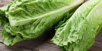 ئەوانەی شەکرەیان هەیە کاهوو بخۆن