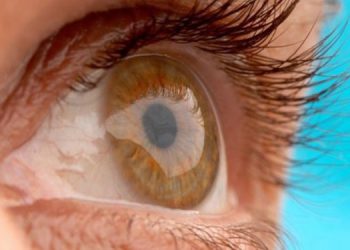 چۆن چاو لە گەرمای هاوین بپارێزین؟