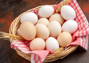 لە سەر خواردنی هێلکە ئەم زانیارییانە بزانە