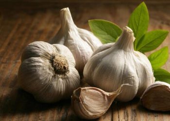 خواردنی سیر چ کاریگەرییەکی لە سەر حەزی خواردن دەبێت؟