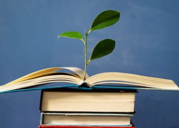 خوێندنەوەیەکی نوێ بۆ بنیاتی کارەکتەر و ژینگەسازی لە ڕۆماندا