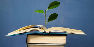 خوێندنەوەیەکی نوێ بۆ بنیاتی کارەکتەر و ژینگەسازی لە ڕۆماندا