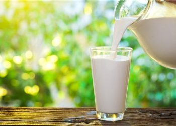 کەی شیر بخۆین؟