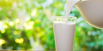 کەی شیر بخۆین؟