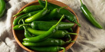 چەندین سوودی سەرسوڕهێنەری خواردنی بیبەری سەوز