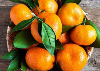 چەند سوود و زیانێکی خواردنی لالەنگی بزانە