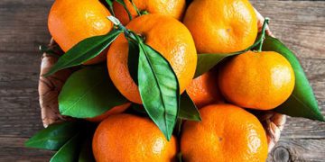 چەند سوود و زیانێکی خواردنی لالەنگی بزانە