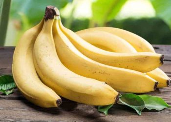 لە سەر توێکڵی مۆز ئەم زانیارییانە بزانە