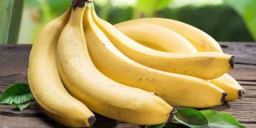 لە سەر توێکڵی مۆز ئەم زانیارییانە بزانە