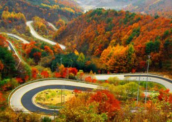 باکوری ئێران؛ ناوچەیەکی بەناوبانگی گەشتیاری