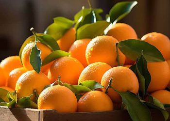 چەند سوودێکی خواردنی پرتەقاڵ لە ڕووی تەندرووستییەوە