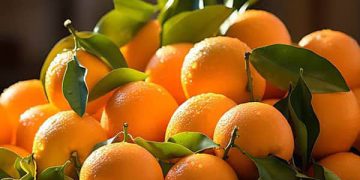 چەند سوودێکی خواردنی پرتەقاڵ لە ڕووی تەندرووستییەوە