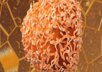 دەستنیشانکردنی خێرا و ئاسانی شێرپەنجەی قۆڵۆن بە کیتی نانۆی ئێرانی