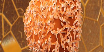 دەستنیشانکردنی خێرا و ئاسانی شێرپەنجەی قۆڵۆن بە کیتی نانۆی ئێرانی