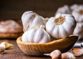 تایبەتمەندییە سەرسوڕهێنەرەکانی سیر