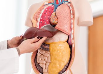 ئەو هۆکارانەی جگەر لەناو دەبەن کە ئاگاداری نین