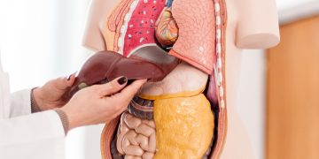 ئەو هۆکارانەی جگەر لەناو دەبەن کە ئاگاداری نین